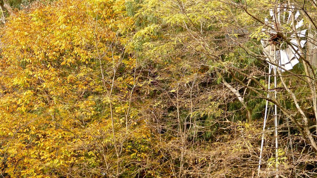 Posada Del Viento Tandil Ngoại thất bức ảnh