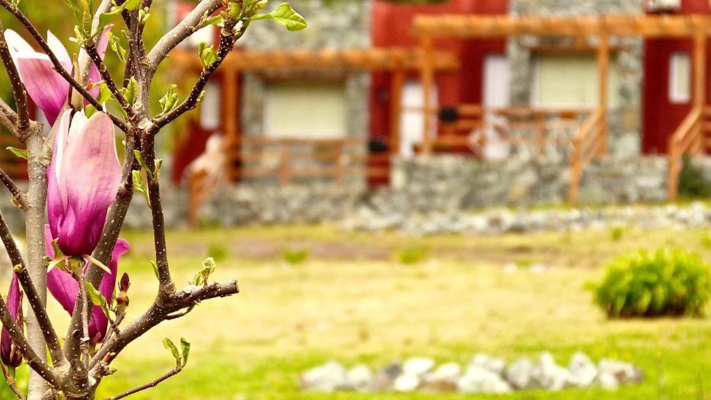 Posada Del Viento Tandil Ngoại thất bức ảnh