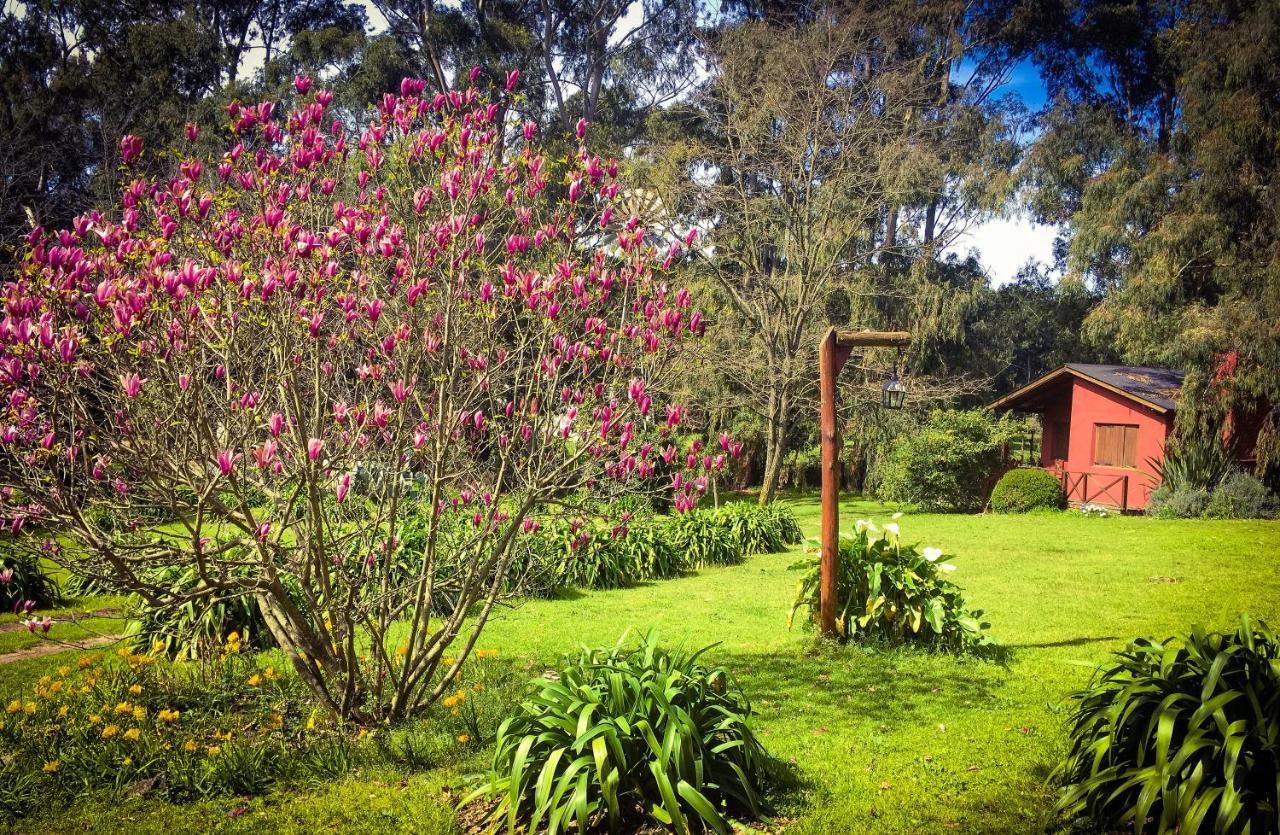 Posada Del Viento Tandil Ngoại thất bức ảnh